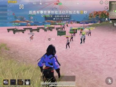 和平精英辅助透视自瞄